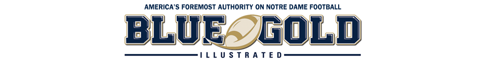 Blue & Gold Illustrated